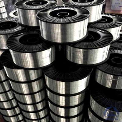 Проволока титановая 1,6 мм 2В купить  в Новом Уренгое