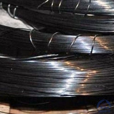 Проволока вольфрамовая 25,5 мкм ВМ купить  в Новом Уренгое